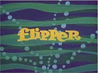 Flipper