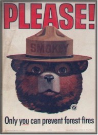 Smokey the Bear