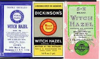 Witch Hazel