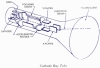 Cathode ray tubes (CRT)