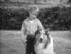 Lassie