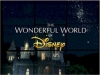 The Wonderful World of Disney